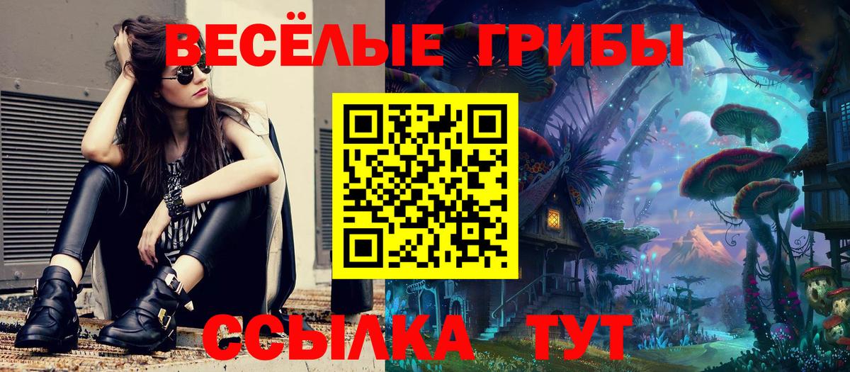 Тавда  Галлюциногенные грибы MAGIC MUSHROOMS  Вход с VPN  Псилоцибиновые грибы прущие грибы 